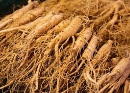 Asian Ginseng Root
